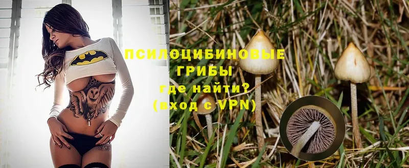 Галлюциногенные грибы Magic Shrooms  Аксай 